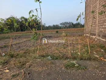 Dijual Tanah Siap Bangun Dusun Tanggung Dekat Pasar Turen