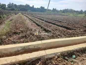 Jual Tanah 1 Hektar di Kab.Sorong JlnKINTENER Luas 100 X 100 / 10.000Harga 1.M