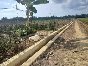 Jual Tanah 1 Hektar di Kab.Sorong JlnKINTENER Luas 100 X 100 / 10.000Harga 1.M