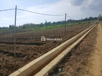 Jual Tanah 1 Hektar di Kab.Sorong JlnKINTENER Luas 100 X 100 / 10.000Harga 1.M