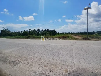 Jual Tanah 1 Hektar di Kab.Sorong Jln.Parawisata Luas 100 X 100