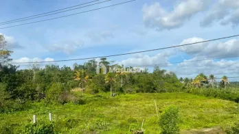 Jual Tanah 3 Hektar di Kab.Sorong Sp.3 Jln.TrenLuas 200 X 150