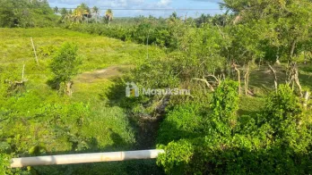 Jual Tanah 3 Hektar di Kab.Sorong Sp.3 Jln.TrenLuas 200 X 150