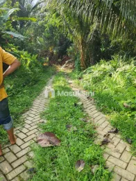 jual tanah daerah kendari luas 16000
