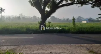 Jual Tanah di Kota Sorong - Makbon Km.12Luas Tanah 2 ,2 Hektar100 X 220 / 22.500