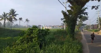 Jual Tanah di Kota Sorong - Makbon Km.12Luas Tanah 2 ,2 Hektar100 X 220 / 22.500