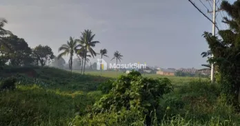 Jual Tanah di Kota Sorong - Makbon Km.12Luas Tanah 2 ,2 Hektar100 X 220 / 22.500