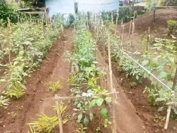 JUAL TANAH PINGGIR JALAN DESA DI CIMAUNG