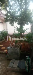 Rumah besar 2 lt di Jln Kalibaru Timur , Bungur ,Senen , Jakarta Pusat