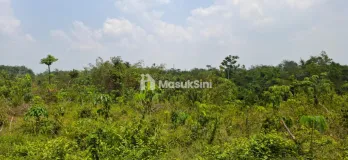 Tanah Di Jual