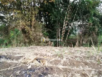 Tanah Dijual Cocok Utk Perkebunan/Peternakan Desa Sidorahayu Wagir