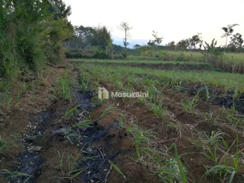 Tanah Dijual Cocok Utk Perkebunan/Peternakan Desa Sidorahayu Wagir
