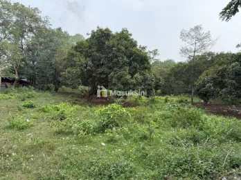 tanah pinggir jalan luas 6000 meter