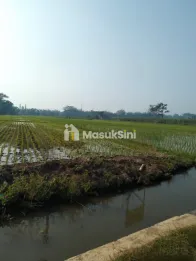Tanah Sawah Strategis Dijual Mandalanwangi Wagir Kab Malang