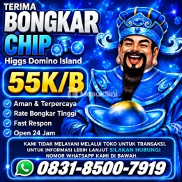 TERIMA BONGKAR CHIP HDI HIGGS DOMINO ISLAND JUAL BELI CHIP HDI WA 083185007919