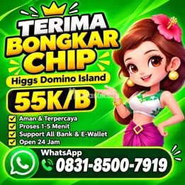 TERIMA BONGKAR CHIP HDI HIGGS DOMINO ISLAND JUAL BELI CHIP HDI WA 083185007919