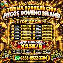TERIMA BONGKAR CHIP HDI HIGGS DOMINO ISLAND JUAL BELI CHIP HDI WA 085809223364 ONLINE 24 JAM