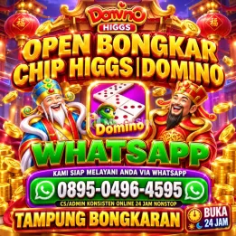 TERIMA BONGKAR CHIP HDI & RD AMAN AMANAH DAN TERPERCAYA WA👉0895-0496-4595